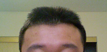 hair