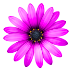Textmate2 icon