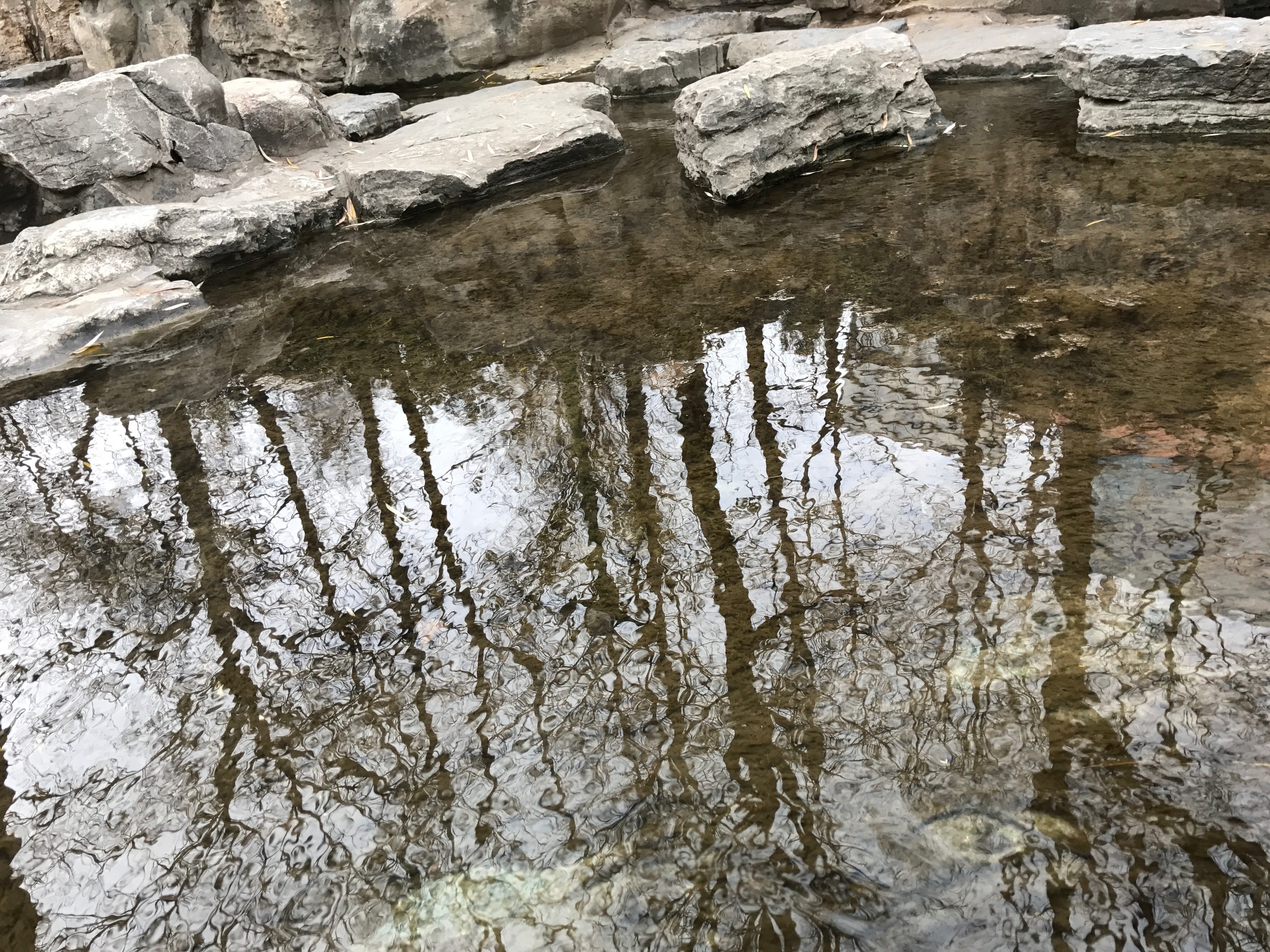 清澈的水波光粼粼